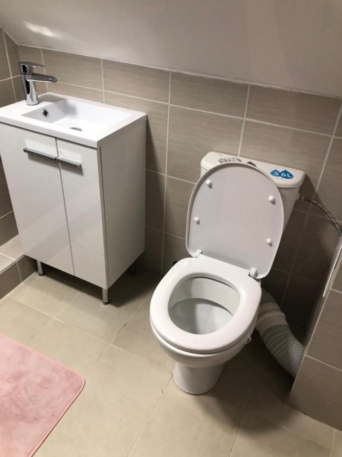 Apartmany U Vleku - Podkrovni Apartman 卡尔洛瓦斯图丹卡 外观 照片
