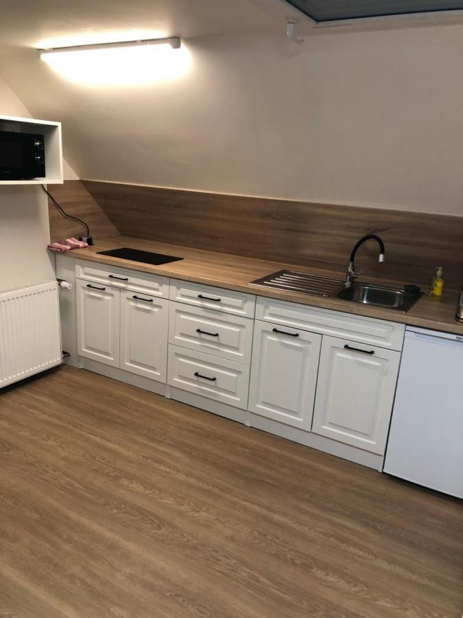 Apartmany U Vleku - Podkrovni Apartman 卡尔洛瓦斯图丹卡 外观 照片
