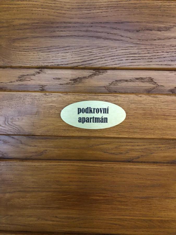 Apartmany U Vleku - Podkrovni Apartman 卡尔洛瓦斯图丹卡 外观 照片