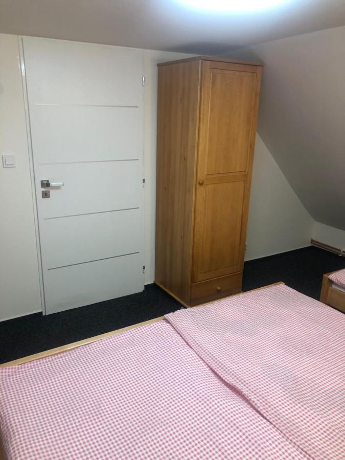 Apartmany U Vleku - Podkrovni Apartman 卡尔洛瓦斯图丹卡 外观 照片