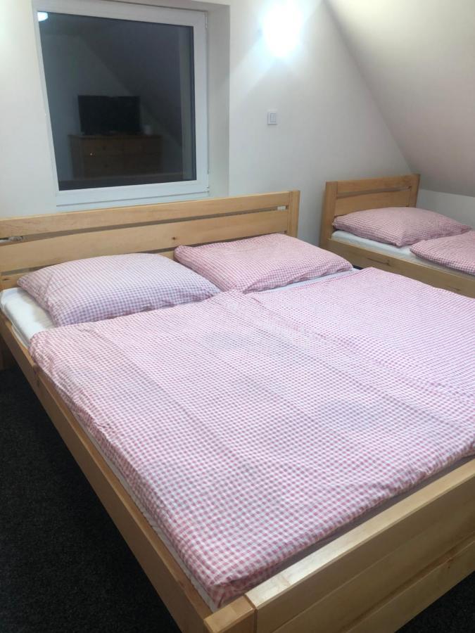 Apartmany U Vleku - Podkrovni Apartman 卡尔洛瓦斯图丹卡 外观 照片