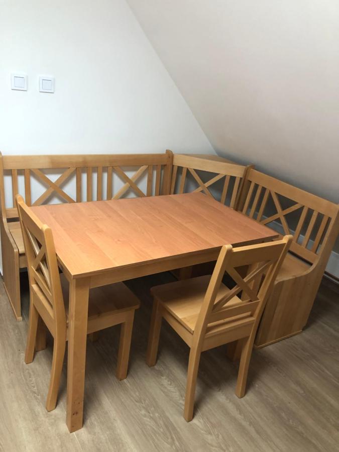 Apartmany U Vleku - Podkrovni Apartman 卡尔洛瓦斯图丹卡 外观 照片